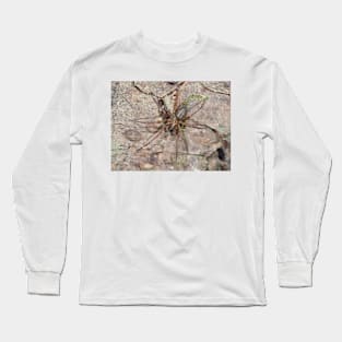 Callobius pictus or similar hacklemesh weaver spider Long Sleeve T-Shirt